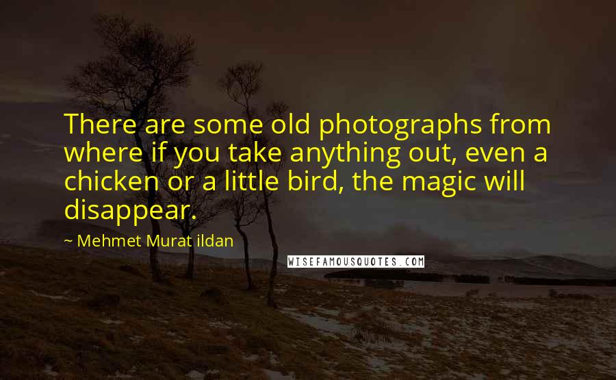 Mehmet Murat Ildan Quotes: There are some old photographs from where if you take anything out, even a chicken or a little bird, the magic will disappear.