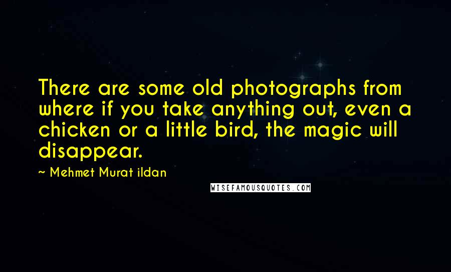 Mehmet Murat Ildan Quotes: There are some old photographs from where if you take anything out, even a chicken or a little bird, the magic will disappear.