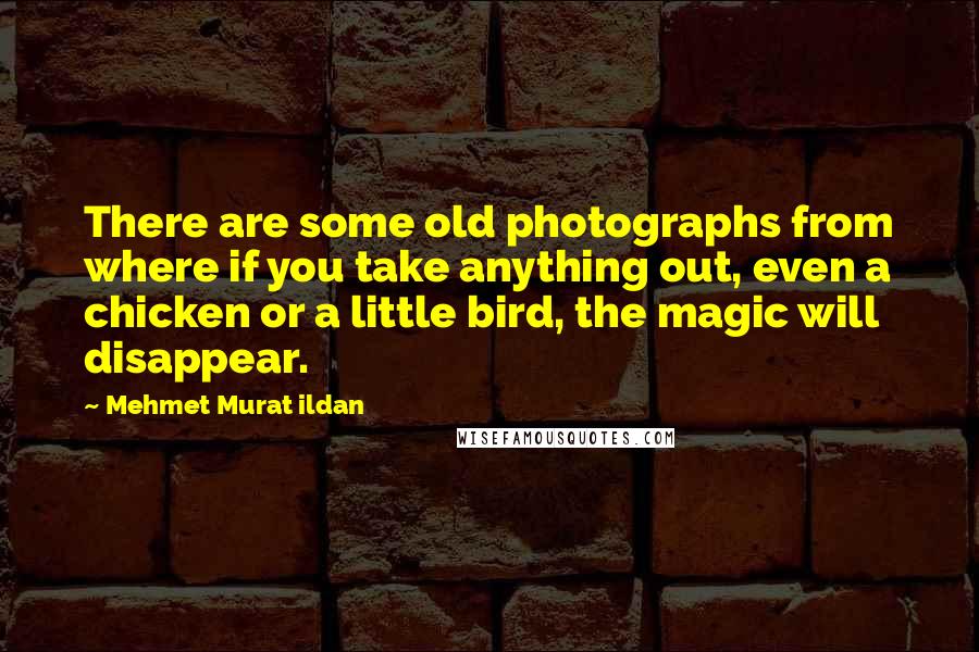 Mehmet Murat Ildan Quotes: There are some old photographs from where if you take anything out, even a chicken or a little bird, the magic will disappear.