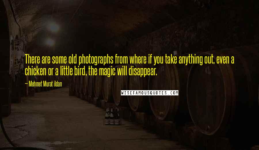 Mehmet Murat Ildan Quotes: There are some old photographs from where if you take anything out, even a chicken or a little bird, the magic will disappear.