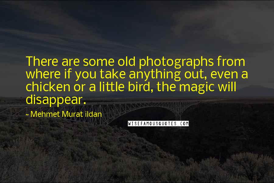 Mehmet Murat Ildan Quotes: There are some old photographs from where if you take anything out, even a chicken or a little bird, the magic will disappear.