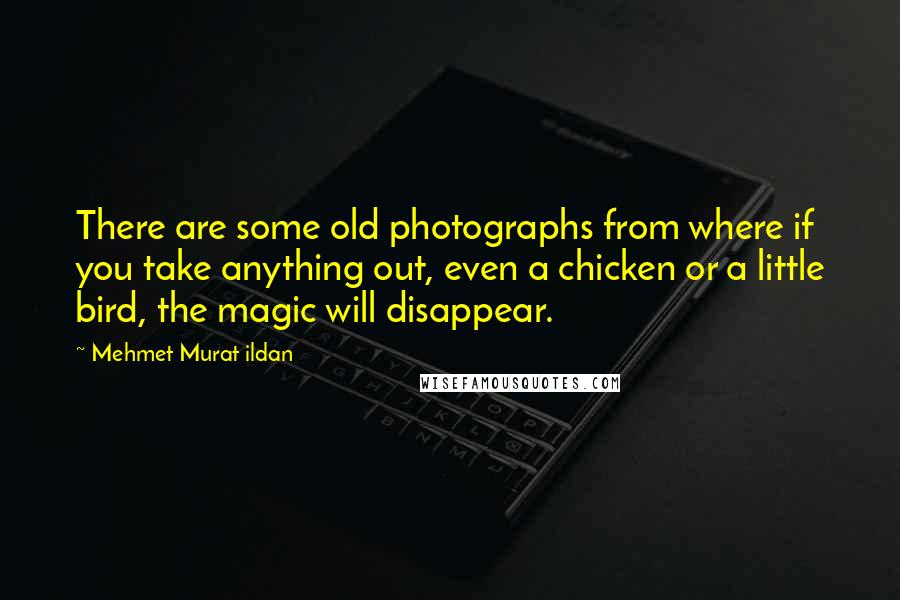 Mehmet Murat Ildan Quotes: There are some old photographs from where if you take anything out, even a chicken or a little bird, the magic will disappear.