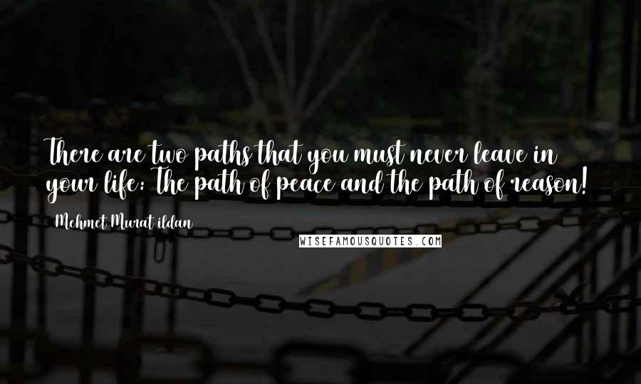 Mehmet Murat Ildan Quotes: There are two paths that you must never leave in your life: The path of peace and the path of reason!