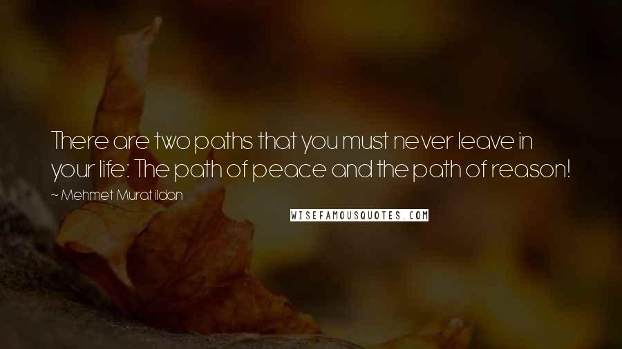 Mehmet Murat Ildan Quotes: There are two paths that you must never leave in your life: The path of peace and the path of reason!