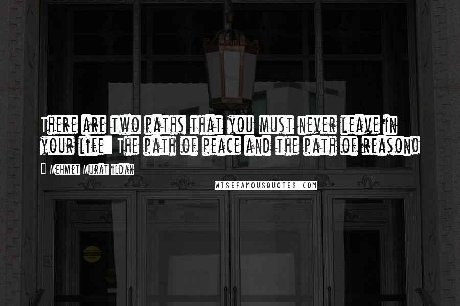 Mehmet Murat Ildan Quotes: There are two paths that you must never leave in your life: The path of peace and the path of reason!