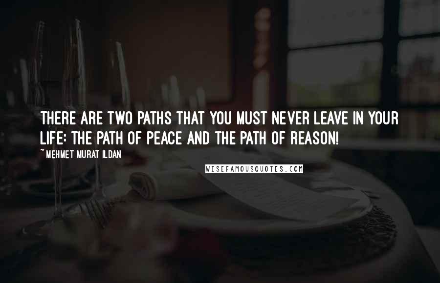 Mehmet Murat Ildan Quotes: There are two paths that you must never leave in your life: The path of peace and the path of reason!