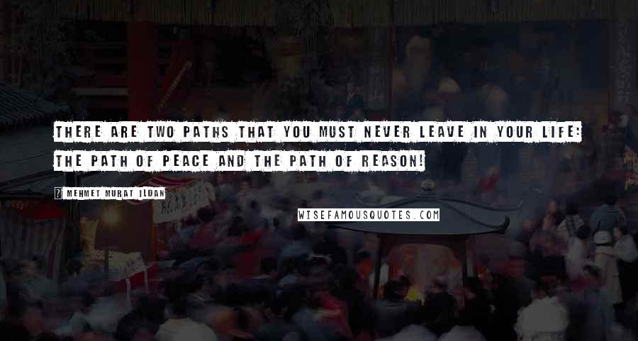 Mehmet Murat Ildan Quotes: There are two paths that you must never leave in your life: The path of peace and the path of reason!