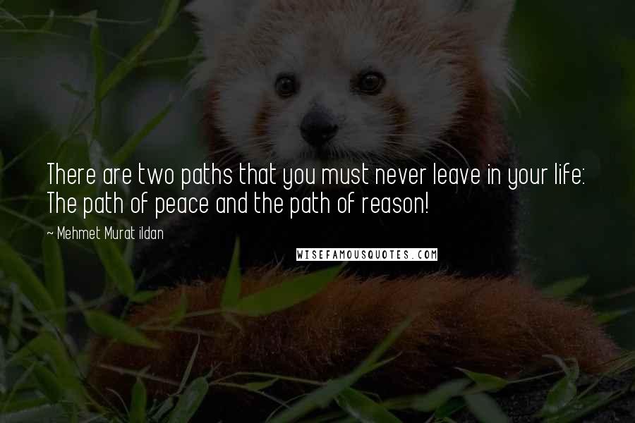 Mehmet Murat Ildan Quotes: There are two paths that you must never leave in your life: The path of peace and the path of reason!