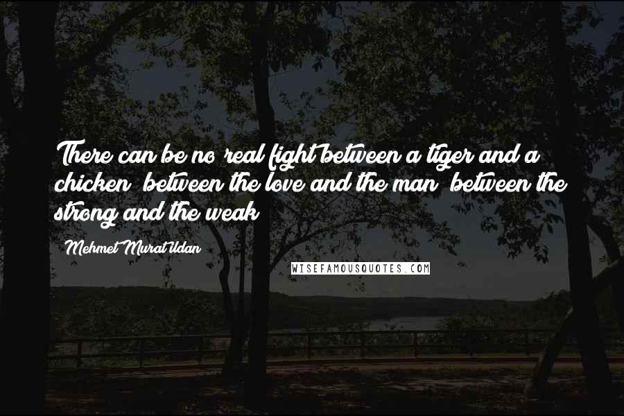 Mehmet Murat Ildan Quotes: There can be no real fight between a tiger and a chicken; between the love and the man; between the strong and the weak!