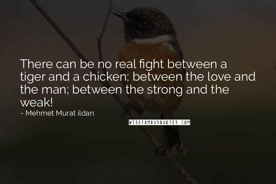 Mehmet Murat Ildan Quotes: There can be no real fight between a tiger and a chicken; between the love and the man; between the strong and the weak!