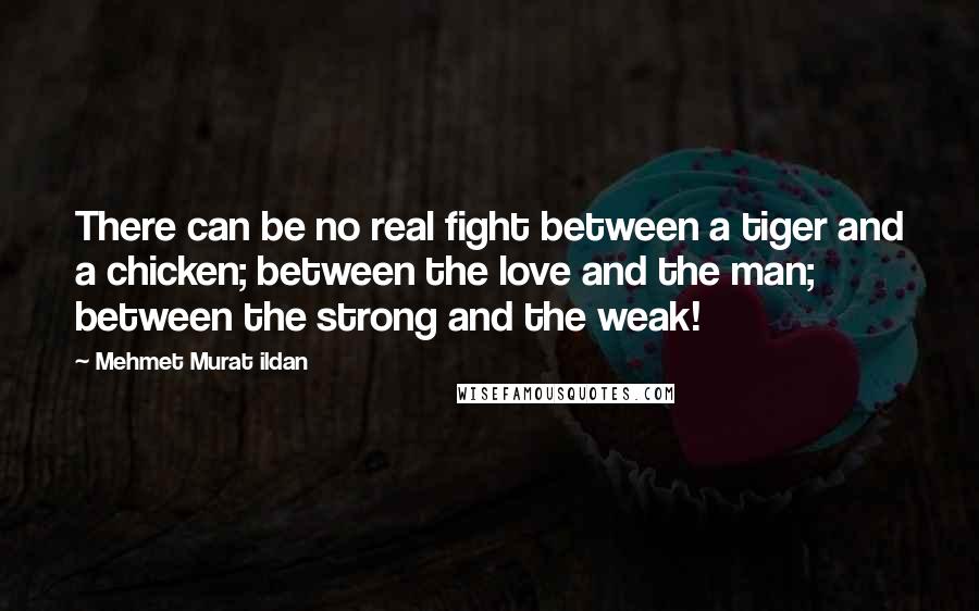Mehmet Murat Ildan Quotes: There can be no real fight between a tiger and a chicken; between the love and the man; between the strong and the weak!