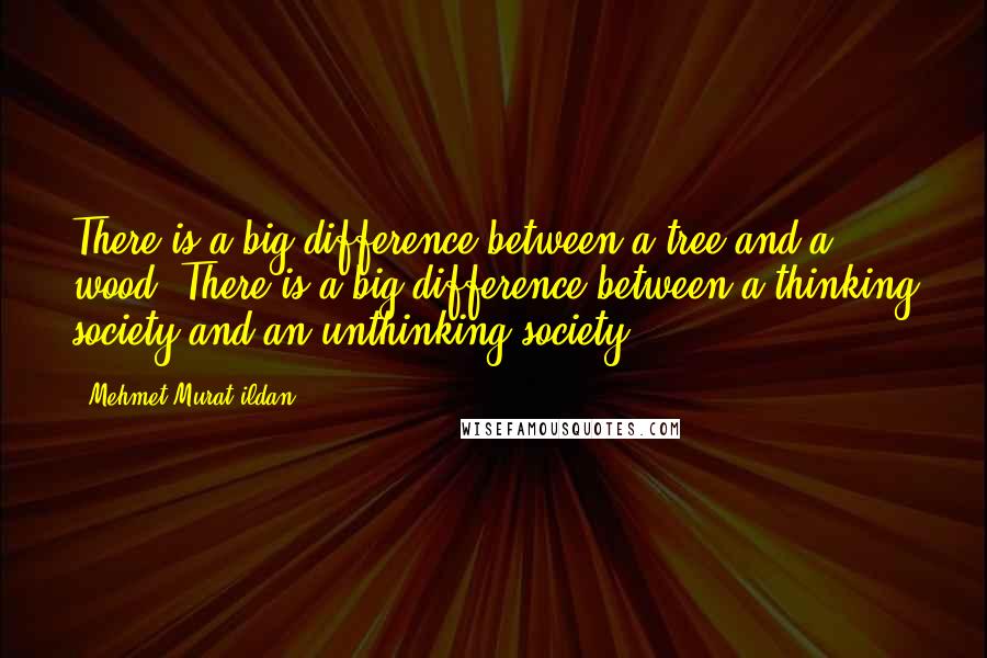 Mehmet Murat Ildan Quotes: There is a big difference between a tree and a wood! There is a big difference between a thinking society and an unthinking society!