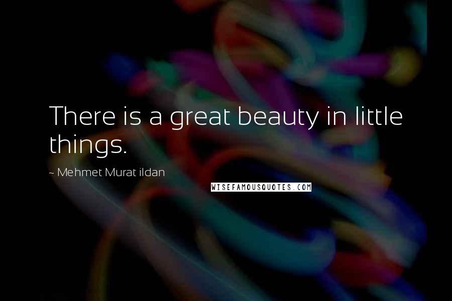 Mehmet Murat Ildan Quotes: There is a great beauty in little things.