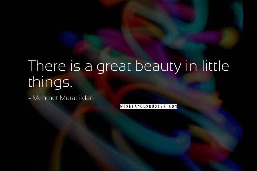 Mehmet Murat Ildan Quotes: There is a great beauty in little things.