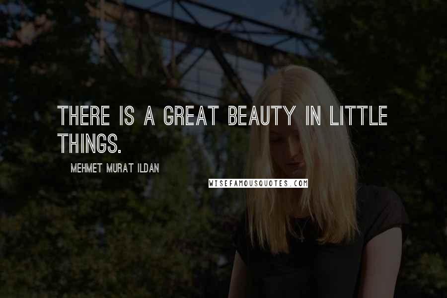 Mehmet Murat Ildan Quotes: There is a great beauty in little things.