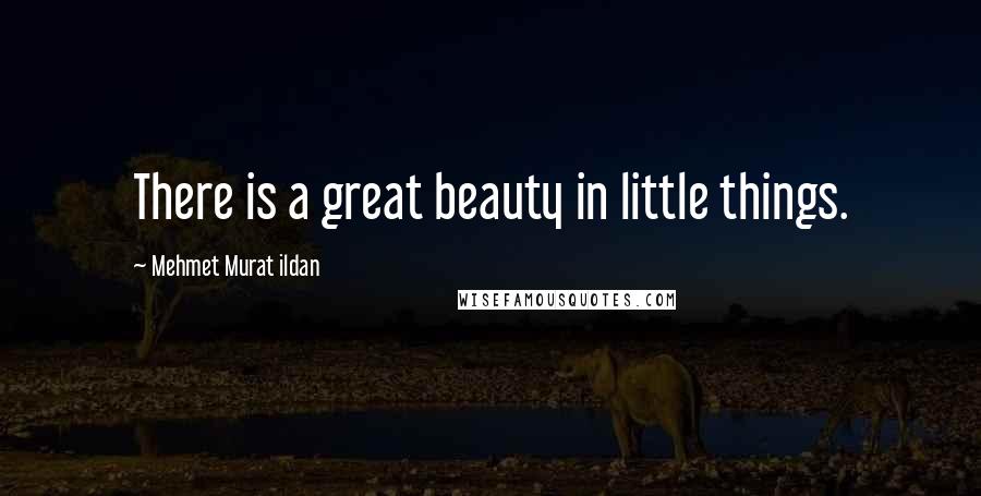 Mehmet Murat Ildan Quotes: There is a great beauty in little things.