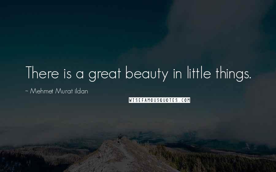 Mehmet Murat Ildan Quotes: There is a great beauty in little things.