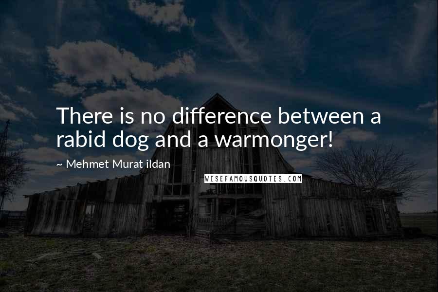Mehmet Murat Ildan Quotes: There is no difference between a rabid dog and a warmonger!