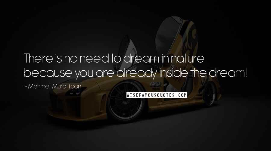 Mehmet Murat Ildan Quotes: There is no need to dream in nature because you are already inside the dream!