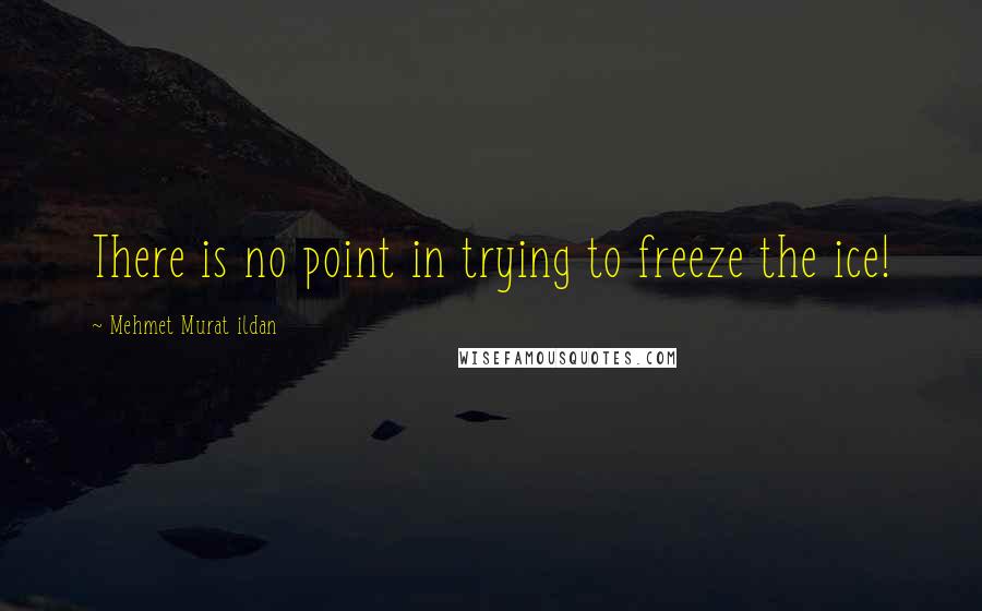 Mehmet Murat Ildan Quotes: There is no point in trying to freeze the ice!