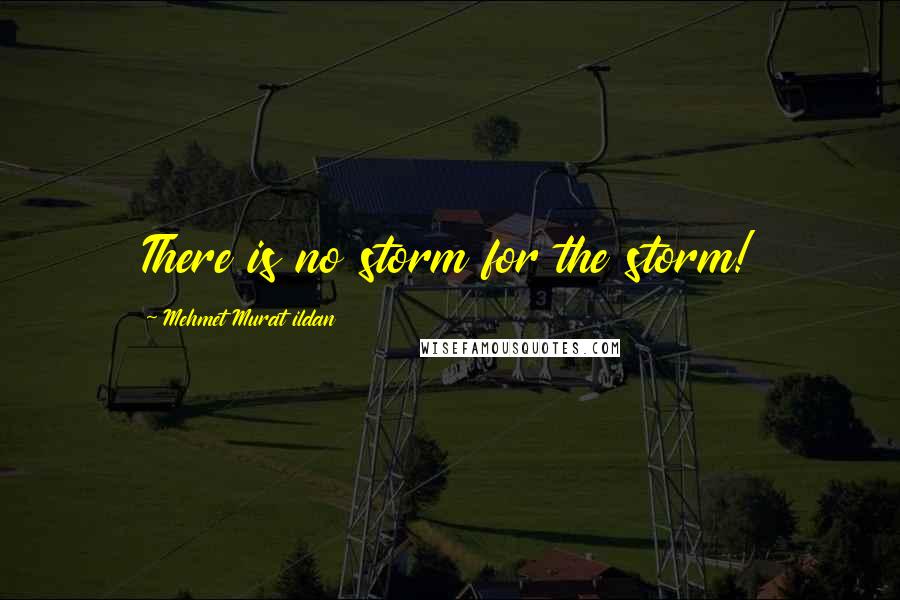 Mehmet Murat Ildan Quotes: There is no storm for the storm!