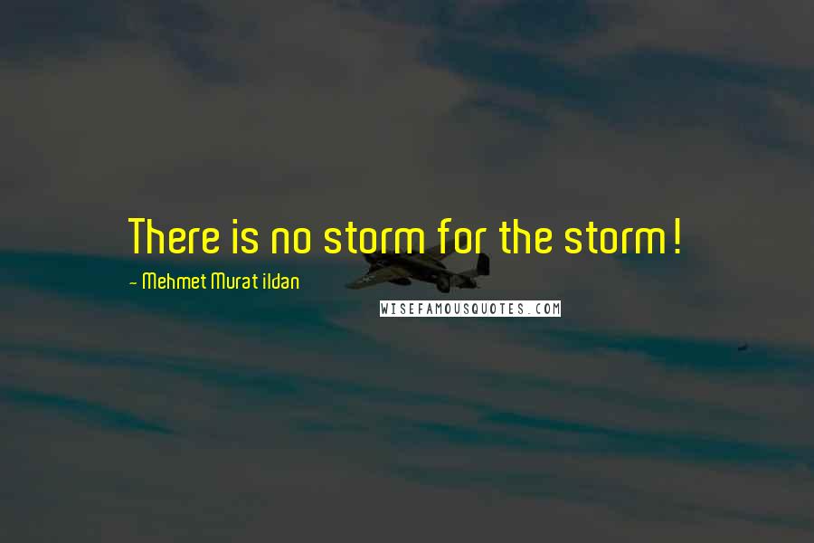 Mehmet Murat Ildan Quotes: There is no storm for the storm!
