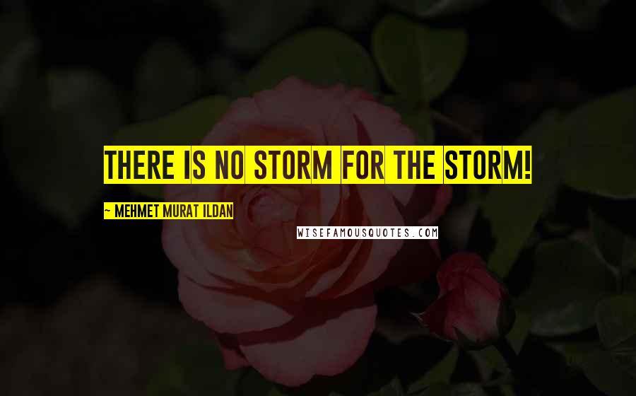 Mehmet Murat Ildan Quotes: There is no storm for the storm!