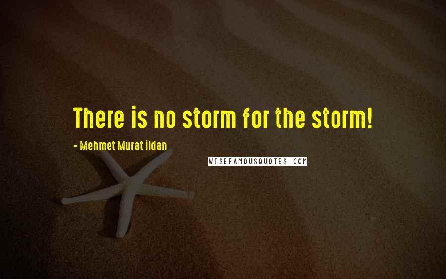 Mehmet Murat Ildan Quotes: There is no storm for the storm!