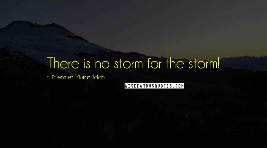 Mehmet Murat Ildan Quotes: There is no storm for the storm!