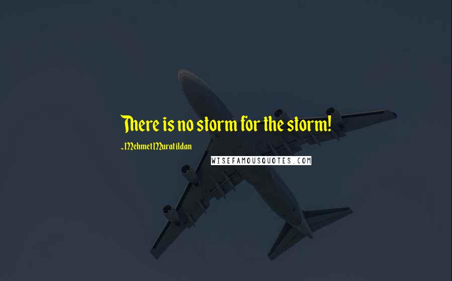 Mehmet Murat Ildan Quotes: There is no storm for the storm!