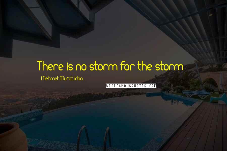 Mehmet Murat Ildan Quotes: There is no storm for the storm!