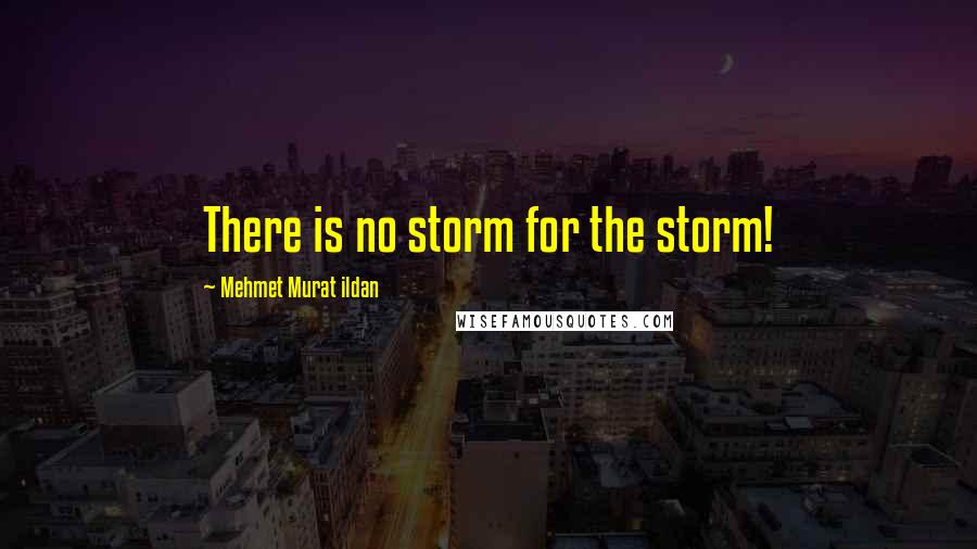 Mehmet Murat Ildan Quotes: There is no storm for the storm!
