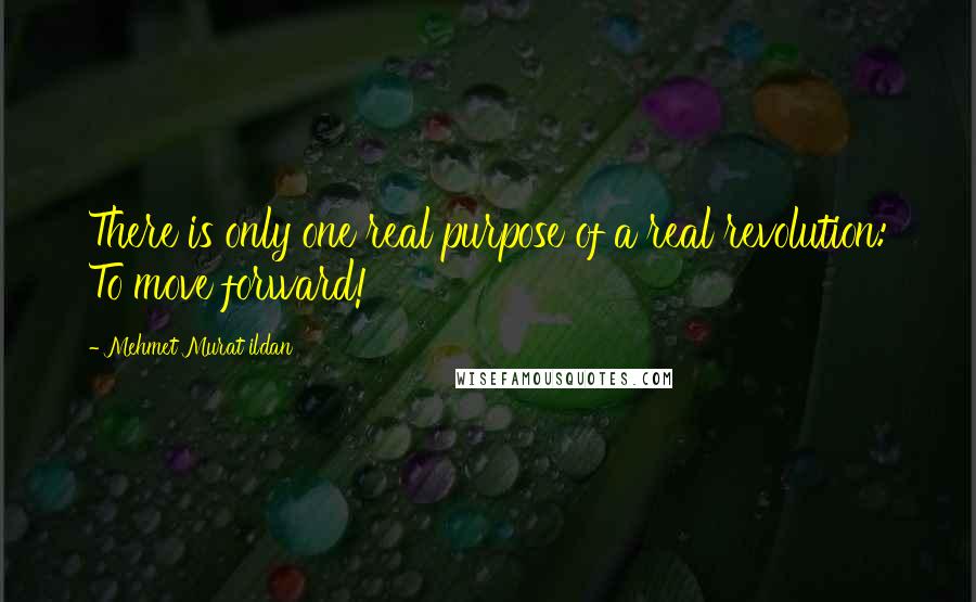 Mehmet Murat Ildan Quotes: There is only one real purpose of a real revolution: To move forward!