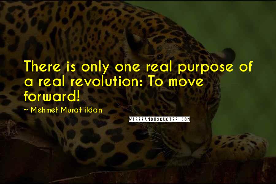 Mehmet Murat Ildan Quotes: There is only one real purpose of a real revolution: To move forward!