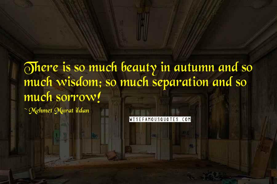 Mehmet Murat Ildan Quotes: There is so much beauty in autumn and so much wisdom; so much separation and so much sorrow!