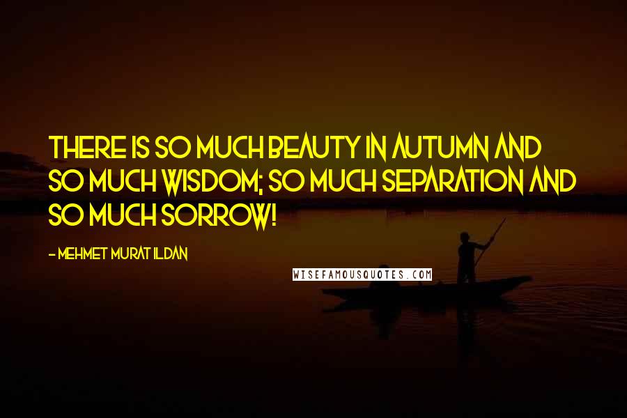 Mehmet Murat Ildan Quotes: There is so much beauty in autumn and so much wisdom; so much separation and so much sorrow!