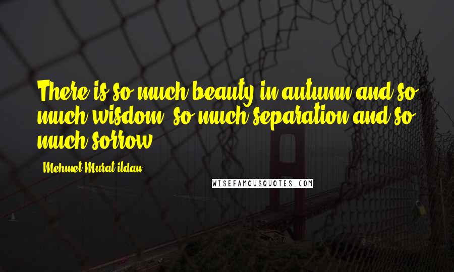 Mehmet Murat Ildan Quotes: There is so much beauty in autumn and so much wisdom; so much separation and so much sorrow!