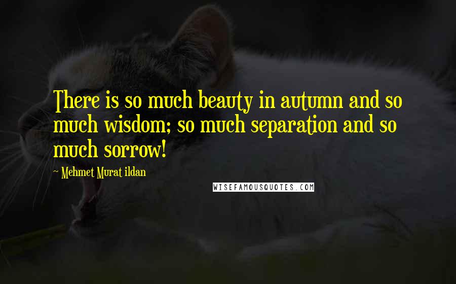 Mehmet Murat Ildan Quotes: There is so much beauty in autumn and so much wisdom; so much separation and so much sorrow!