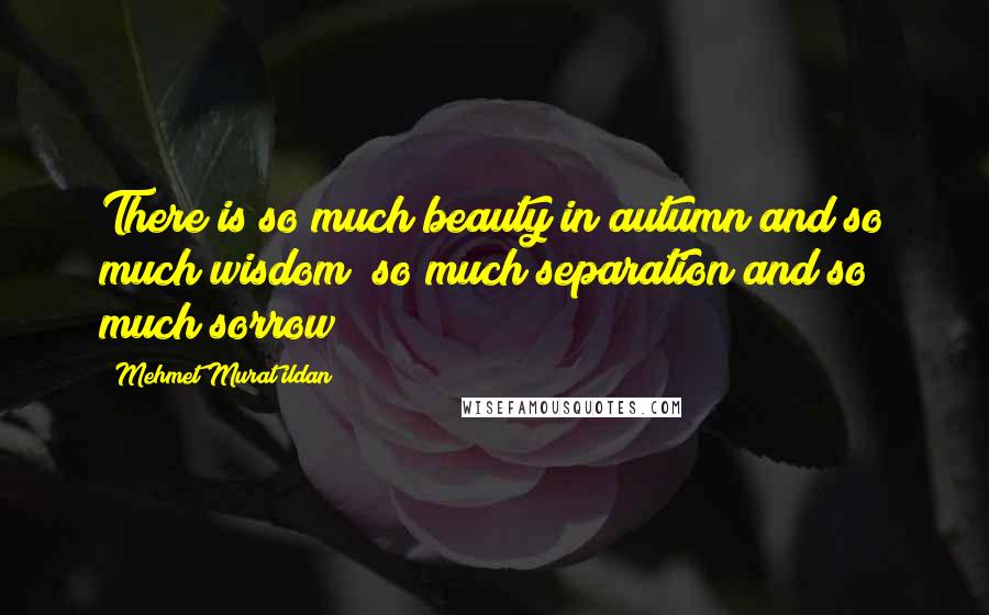 Mehmet Murat Ildan Quotes: There is so much beauty in autumn and so much wisdom; so much separation and so much sorrow!