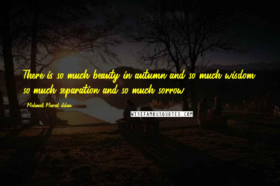 Mehmet Murat Ildan Quotes: There is so much beauty in autumn and so much wisdom; so much separation and so much sorrow!