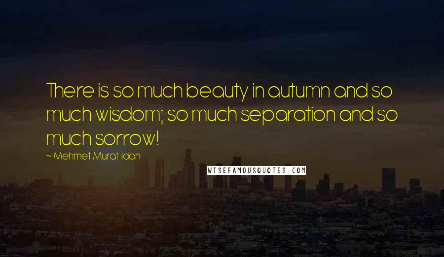 Mehmet Murat Ildan Quotes: There is so much beauty in autumn and so much wisdom; so much separation and so much sorrow!