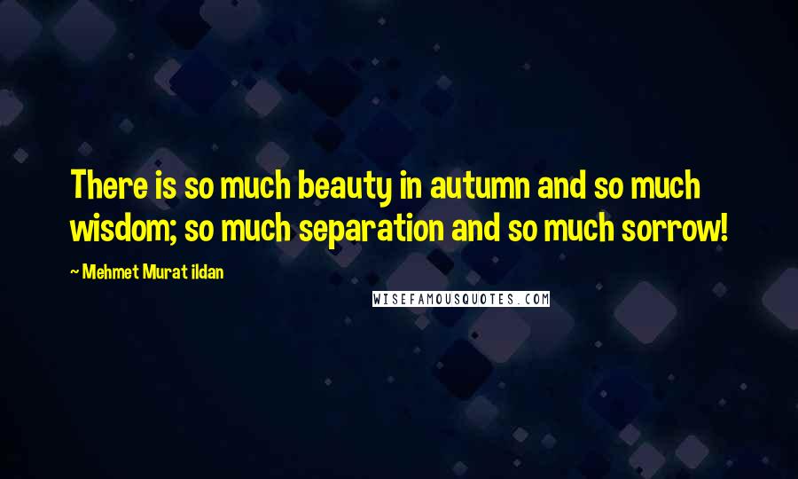 Mehmet Murat Ildan Quotes: There is so much beauty in autumn and so much wisdom; so much separation and so much sorrow!