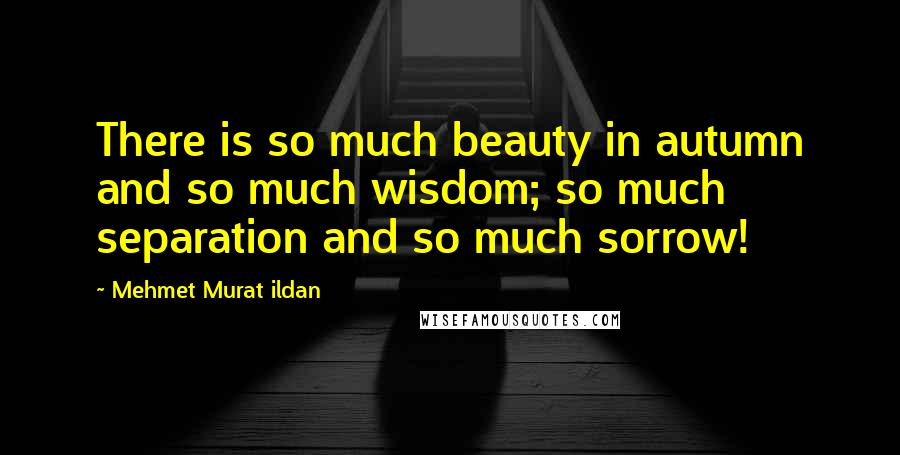 Mehmet Murat Ildan Quotes: There is so much beauty in autumn and so much wisdom; so much separation and so much sorrow!