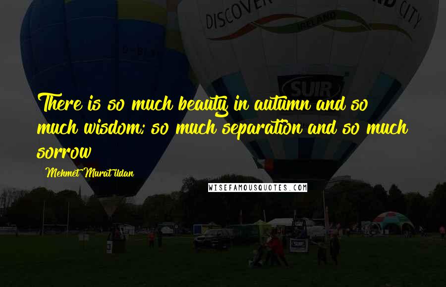 Mehmet Murat Ildan Quotes: There is so much beauty in autumn and so much wisdom; so much separation and so much sorrow!