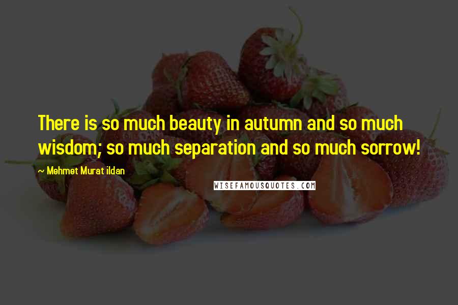 Mehmet Murat Ildan Quotes: There is so much beauty in autumn and so much wisdom; so much separation and so much sorrow!