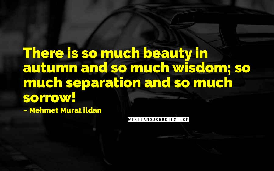 Mehmet Murat Ildan Quotes: There is so much beauty in autumn and so much wisdom; so much separation and so much sorrow!