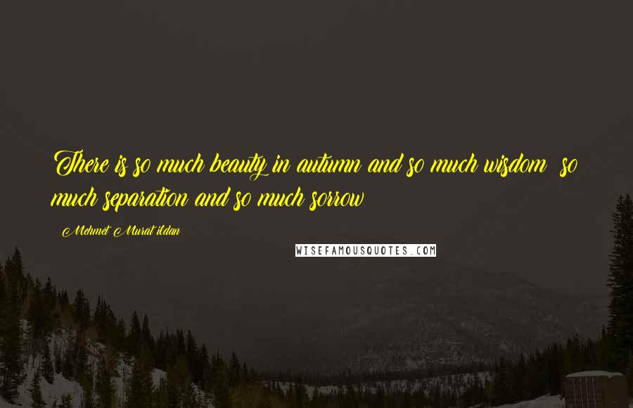 Mehmet Murat Ildan Quotes: There is so much beauty in autumn and so much wisdom; so much separation and so much sorrow!