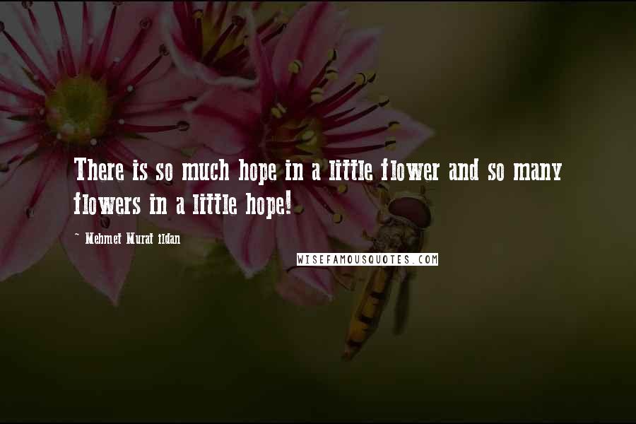 Mehmet Murat Ildan Quotes: There is so much hope in a little flower and so many flowers in a little hope!