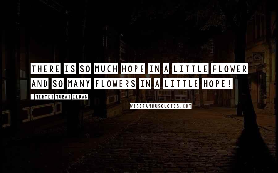 Mehmet Murat Ildan Quotes: There is so much hope in a little flower and so many flowers in a little hope!