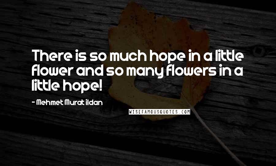 Mehmet Murat Ildan Quotes: There is so much hope in a little flower and so many flowers in a little hope!